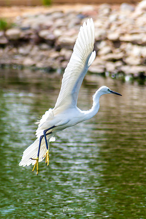 Yanbu Lakes, Saudi Arabia