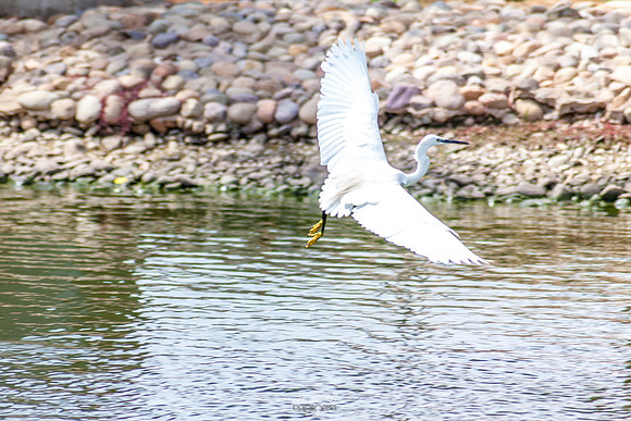 Yanbu Lakes, Saudi Arabia