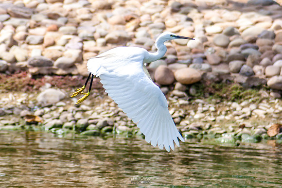 Yanbu Lakes, Saudi Arabia