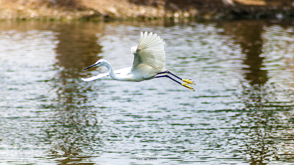 Yanbu Lakes, Saudi Arabia