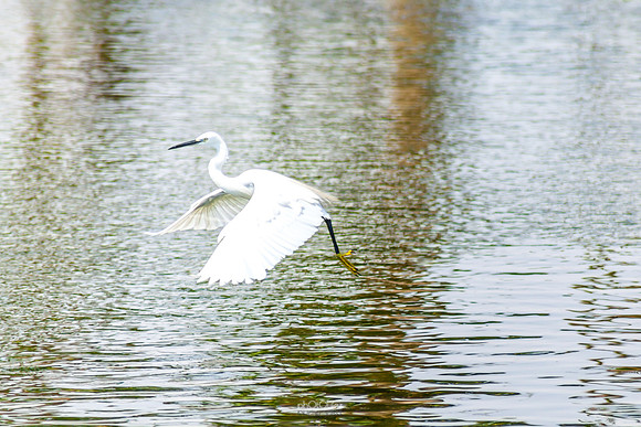 Yanbu Lakes, Saudi Arabia