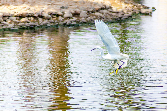 Yanbu Lakes, Saudi Arabia