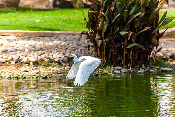 Yanbu Lakes, Saudi Arabia