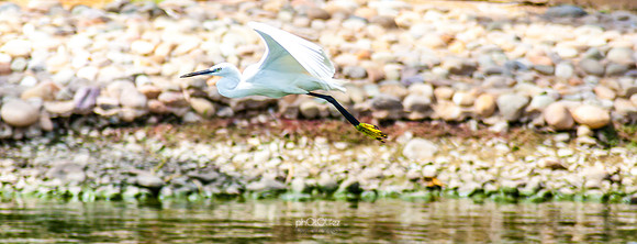 Yanbu Lakes, Saudi Arabia