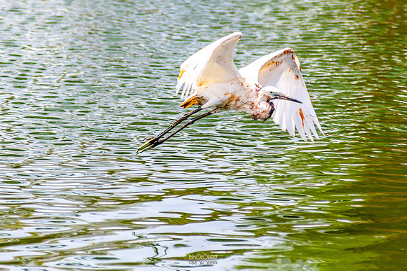 Yanbu Lakes, Saudi Arabia