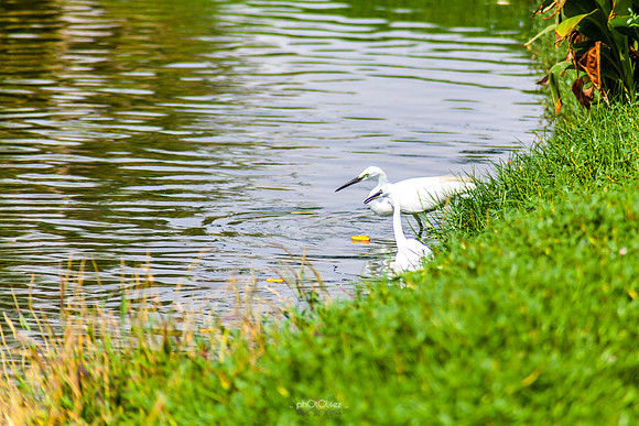 Yanbu Lakes, Saudi Arabia