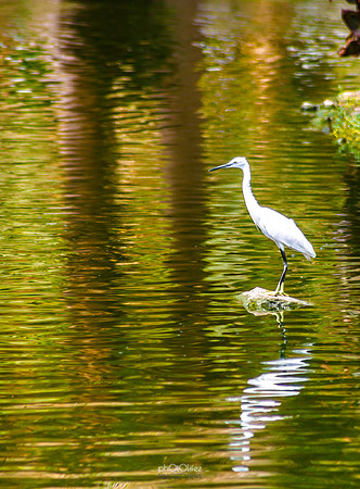 Yanbu Lakes, Saudi Arabia