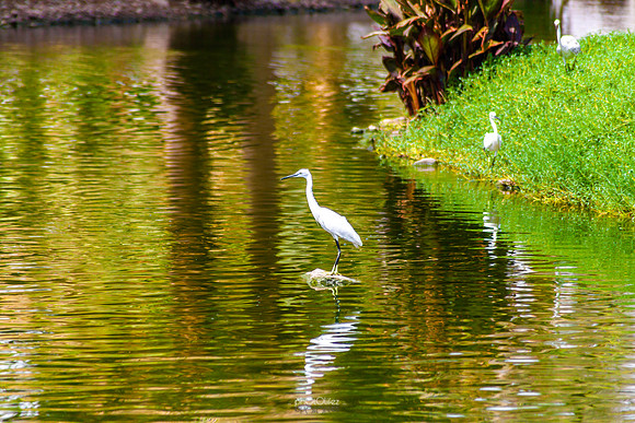 Yanbu Lakes, Saudi Arabia