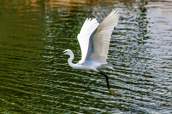 Yanbu Lakes, Saudi Arabia