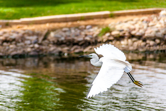 Yanbu Lakes, Saudi Arabia