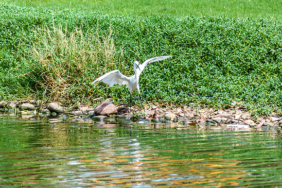 Yanbu Lakes, Saudi Arabia