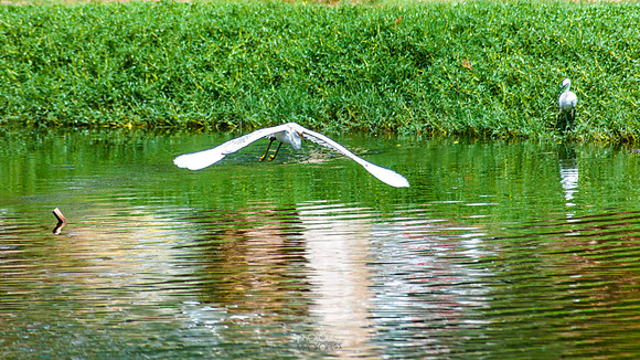 Yanbu Lakes, Saudi Arabia