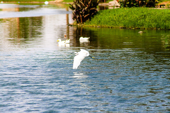Yanbu Lakes, Saudi Arabia