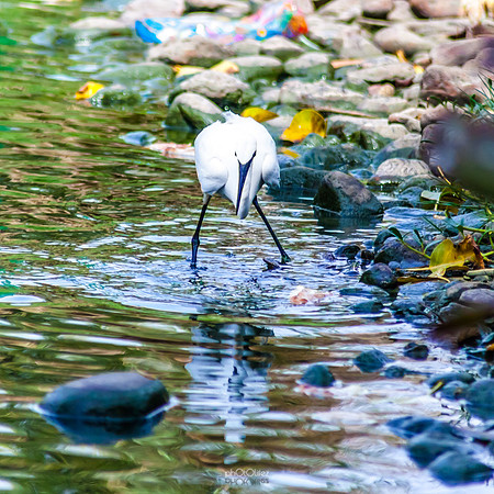 Yanbu Lakes, Saudi Arabia