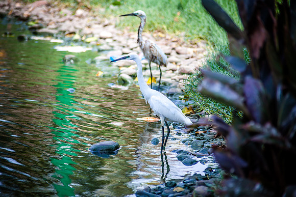 Yanbu Lakes, Saudi Arabia