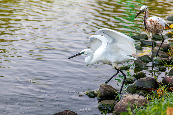 Yanbu Lakes, Saudi Arabia
