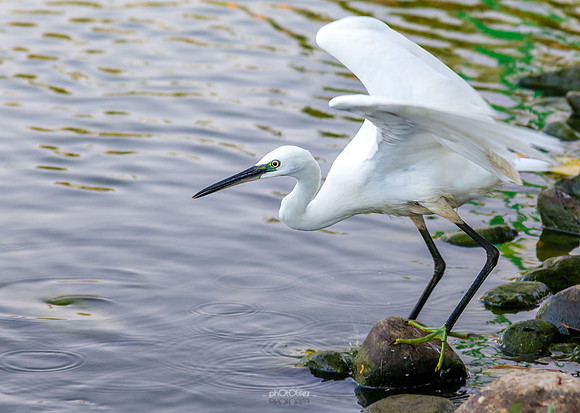 Yanbu Lakes, Saudi Arabia
