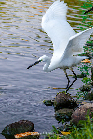 Yanbu Lakes, Saudi Arabia