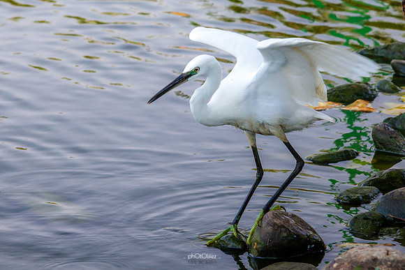 Yanbu Lakes, Saudi Arabia