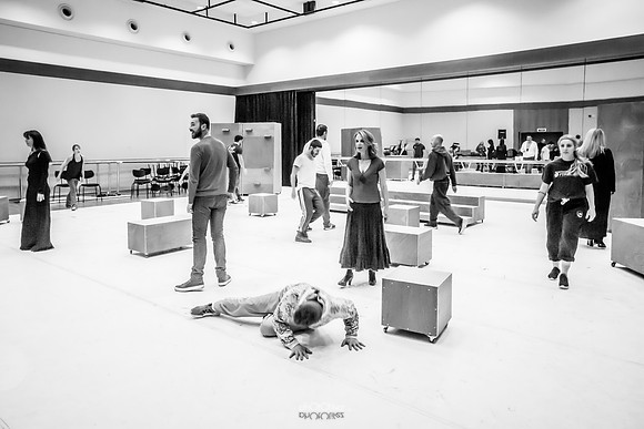 _MG_0779