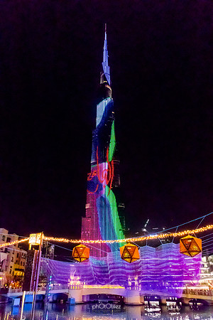IMG_2349