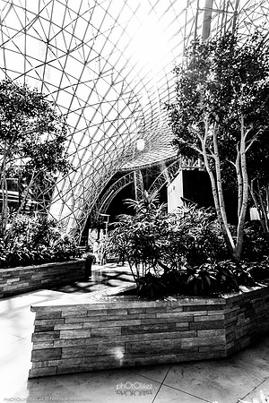 Ferrari World, Abu Dhabi, UAE