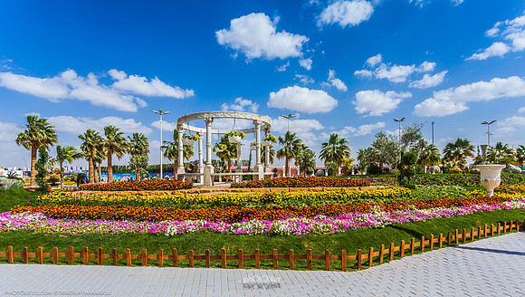 9th Flower fest @Yanbu
