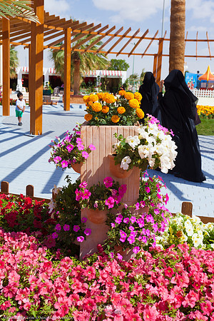9th Flower fest @Yanbu