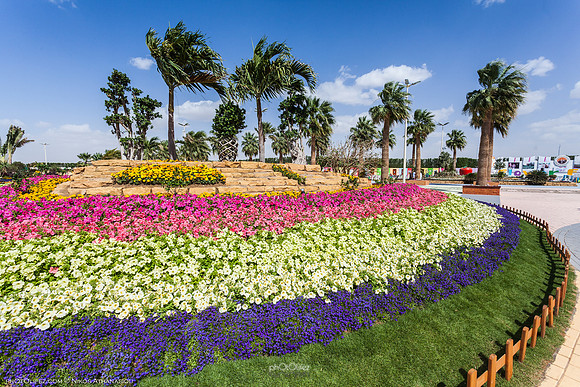 9th Flower fest @Yanbu
