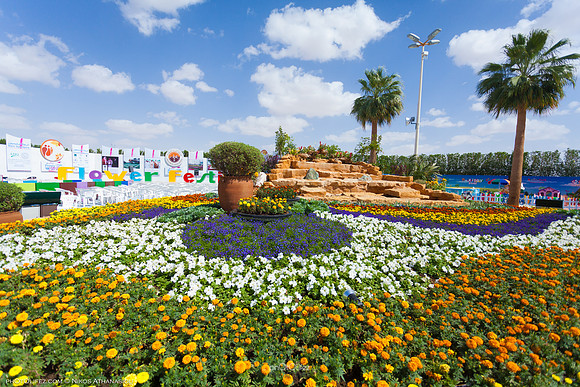 9th Flower fest @Yanbu