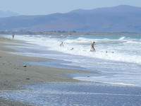 P8170006