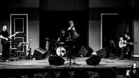 _MG_0842