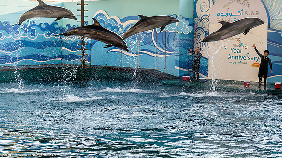 Fakieh Aquarium