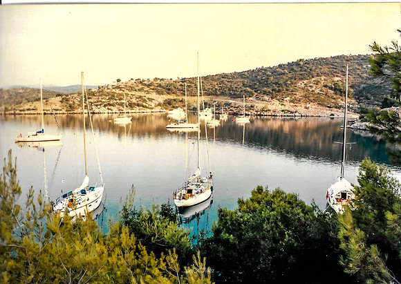 Scan 411